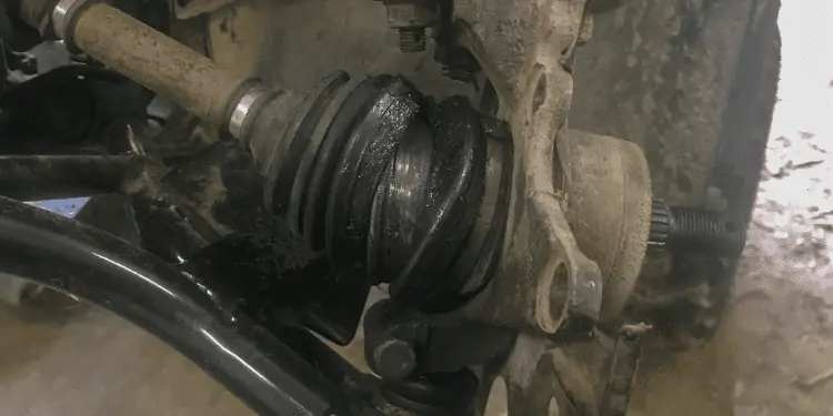 Worn CV joints can make a squeaking noise