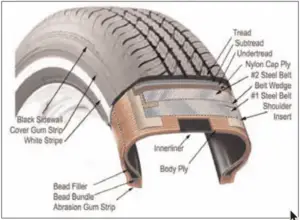 Radial-Tire-Showing-Belts-and-Ply