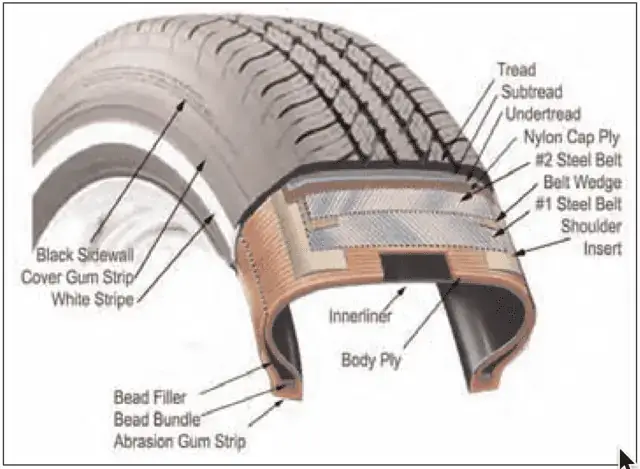 Radial Tire Showing Belts and Ply